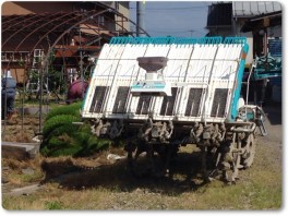 田植えの後始末