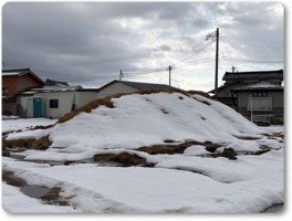 もみ殻堆肥に雪